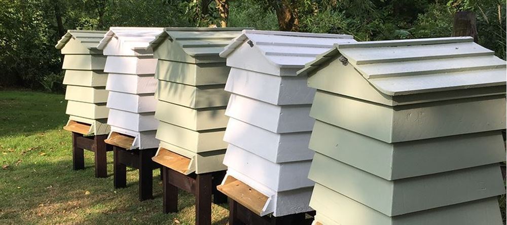 Bees In Our Community